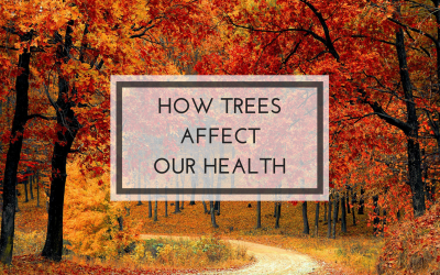 The Power of Trees