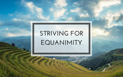 What is Equanimity?